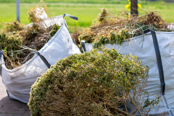 Best Dumpster Rental Services  in Somerdale, NJ